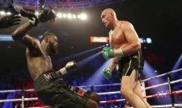 拳王维尔德爆料图解视频,图解震撼拳击技巧与策略